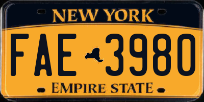 NY license plate FAE3980