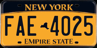 NY license plate FAE4025