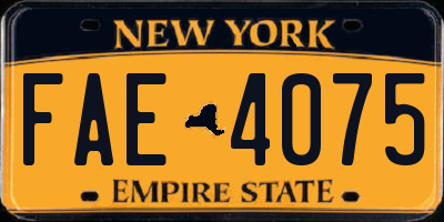 NY license plate FAE4075