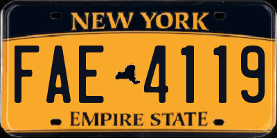 NY license plate FAE4119