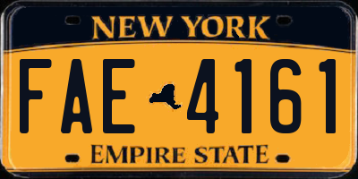 NY license plate FAE4161