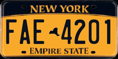NY license plate FAE4201