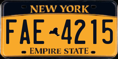 NY license plate FAE4215