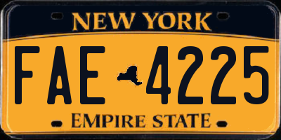 NY license plate FAE4225