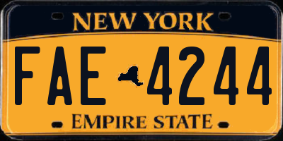 NY license plate FAE4244