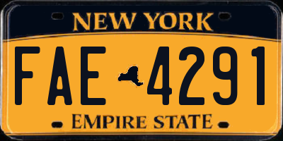 NY license plate FAE4291