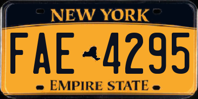 NY license plate FAE4295