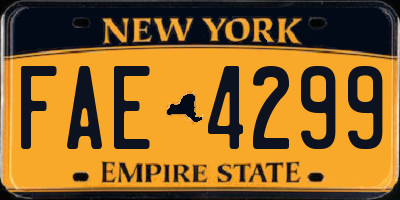 NY license plate FAE4299