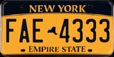 NY license plate FAE4333