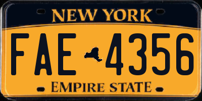 NY license plate FAE4356