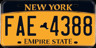 NY license plate FAE4388