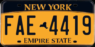 NY license plate FAE4419
