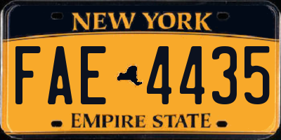 NY license plate FAE4435
