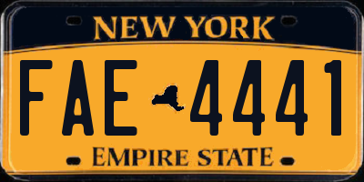 NY license plate FAE4441