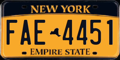 NY license plate FAE4451