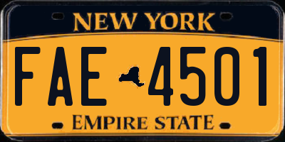 NY license plate FAE4501