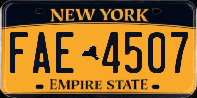 NY license plate FAE4507