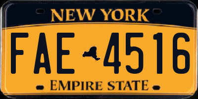 NY license plate FAE4516