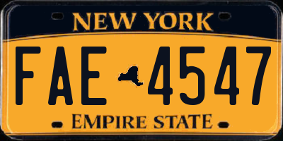 NY license plate FAE4547