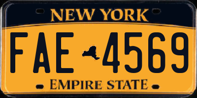 NY license plate FAE4569