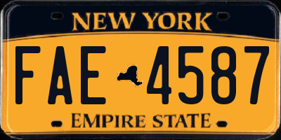 NY license plate FAE4587