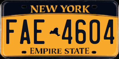 NY license plate FAE4604