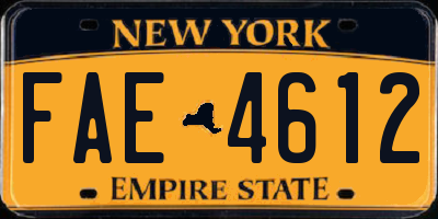 NY license plate FAE4612