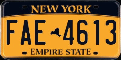 NY license plate FAE4613