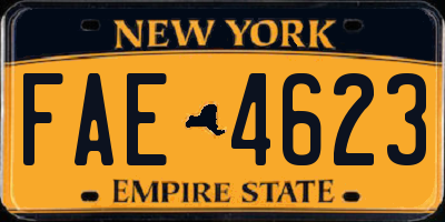 NY license plate FAE4623