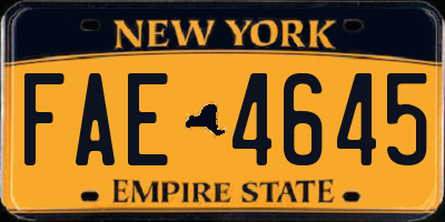 NY license plate FAE4645