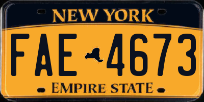 NY license plate FAE4673