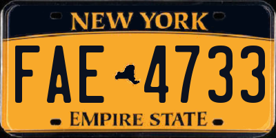 NY license plate FAE4733