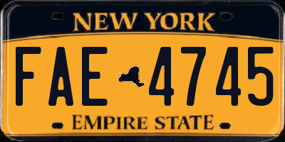 NY license plate FAE4745