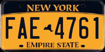 NY license plate FAE4761