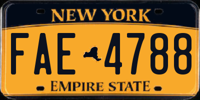 NY license plate FAE4788