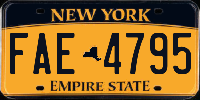 NY license plate FAE4795