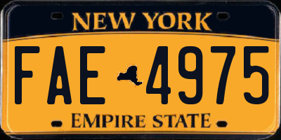 NY license plate FAE4975