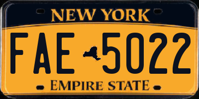 NY license plate FAE5022
