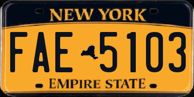 NY license plate FAE5103