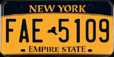 NY license plate FAE5109