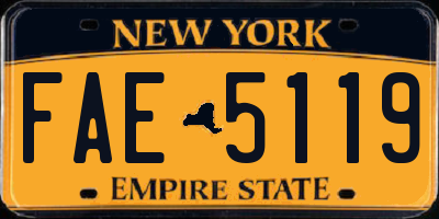 NY license plate FAE5119