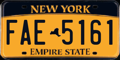 NY license plate FAE5161