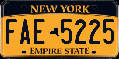 NY license plate FAE5225