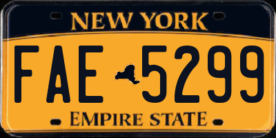 NY license plate FAE5299