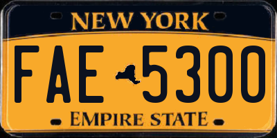 NY license plate FAE5300