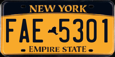 NY license plate FAE5301