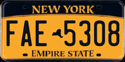 NY license plate FAE5308