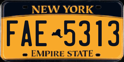 NY license plate FAE5313