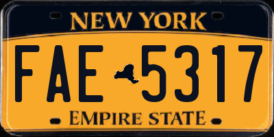 NY license plate FAE5317