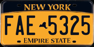 NY license plate FAE5325